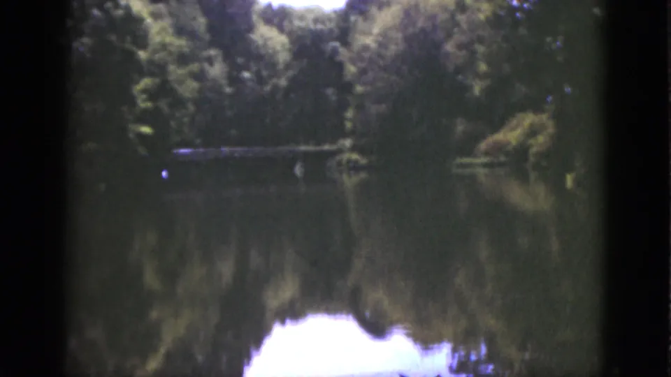 1951 Florida lakeside view with dense trees, still water reflections, and a small distant structure or dock across the lake.