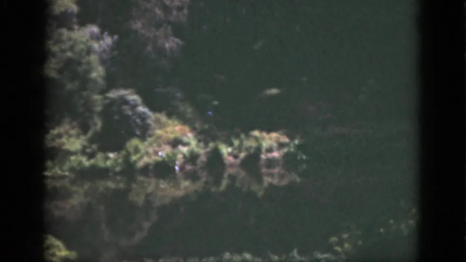 1951 Florida 8mm frame showing a soft, green underwater view with rocks, plant growth, and a small fish.