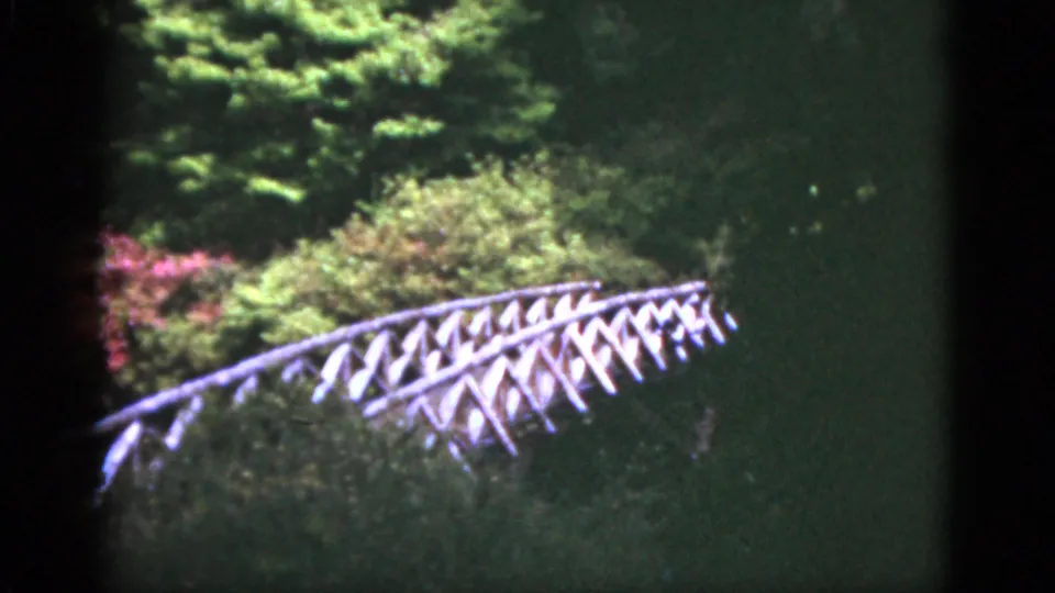 1951 Florida 8mm frame showing a white wooden footbridge set among lush shrubs, trees, and filtered sunlight.