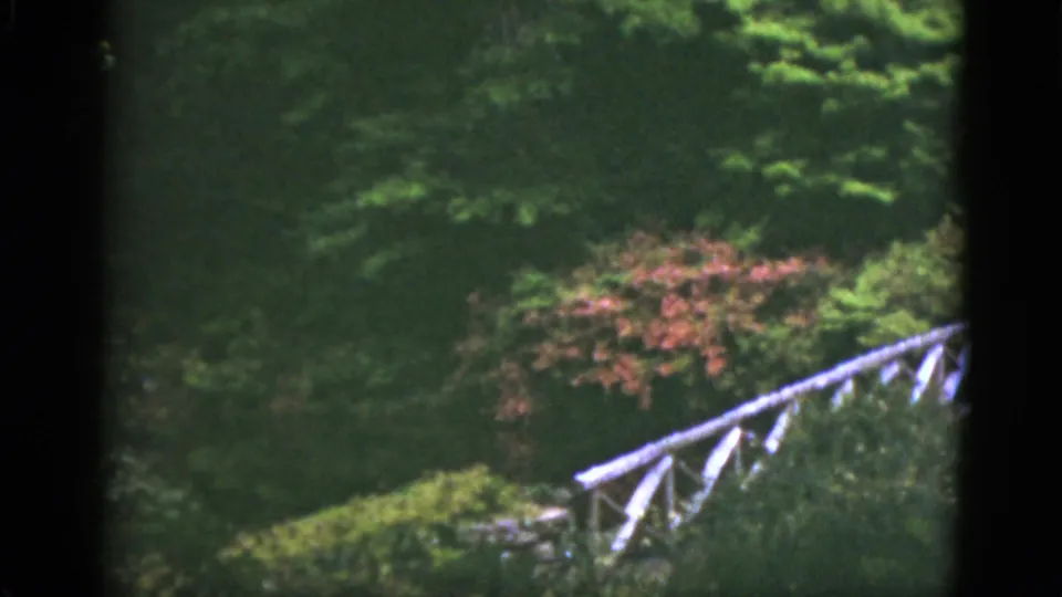 1951 Florida home-movie frame with a white footbridge receding into wooded greenery beside a pink flowering bush.