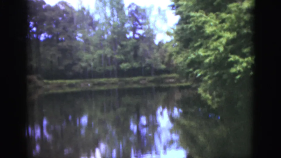 1951 Florida 8mm frame showing a quiet pond with tree reflections and thick foliage along the shoreline.