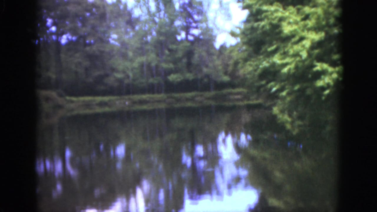 1951 Florida 8mm frame showing a quiet lake bordered by dense trees, with forest reflections on the water.