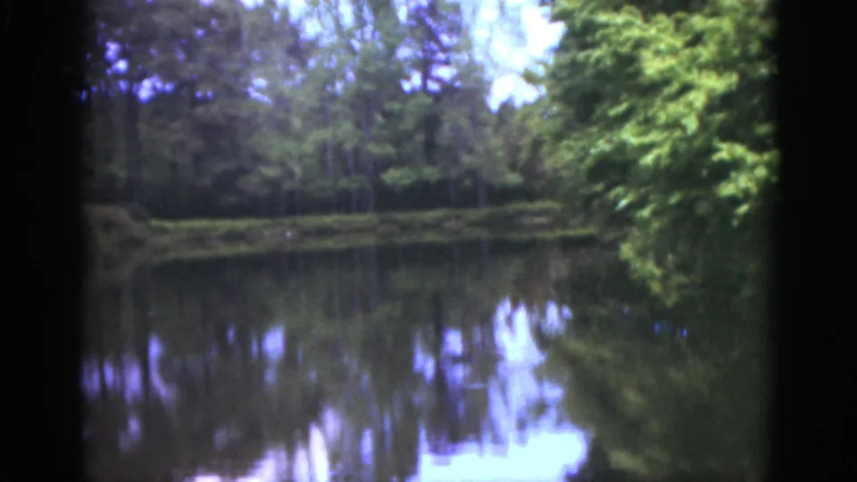 1951 Florida 8mm frame showing a quiet lake bordered by dense trees, with forest reflections on the water.