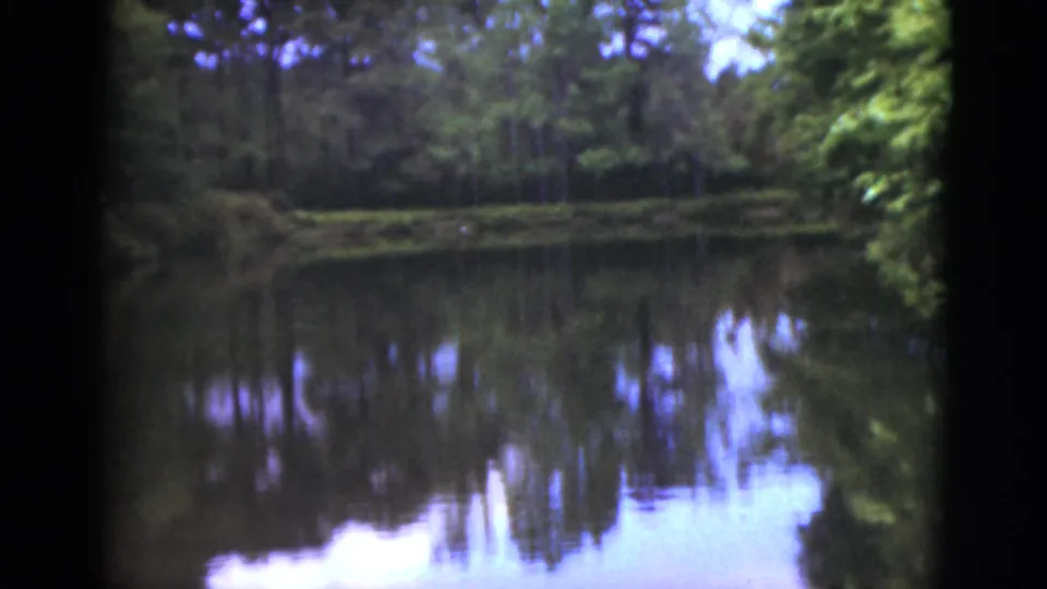 1951 Florida home-movie view of a tree-lined lake, with soft focus and reflections across the water.