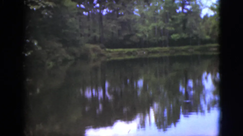 1951 Florida 8mm footage frame of a quiet lake with dense trees and mirrored shoreline reflections.