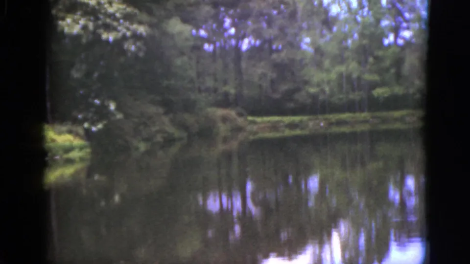 1951 Florida lake scene with overhanging foliage, wooded shoreline, and soft water reflections in an 8mm frame.