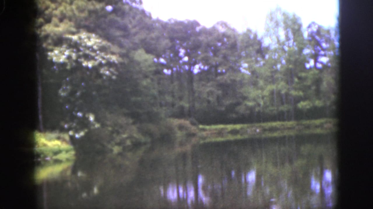 Tree-lined pond with shaded banks and soft water reflections.