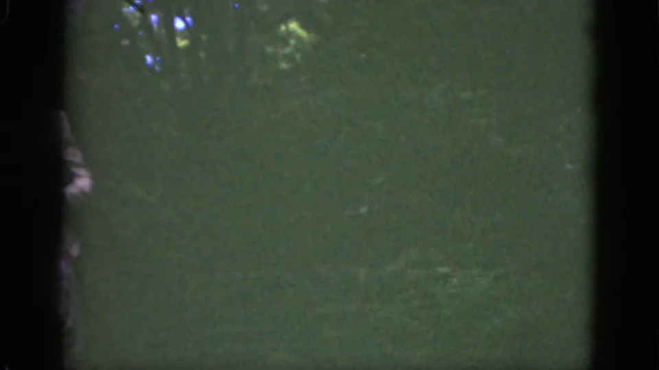 The woman is mostly hidden by a dark vertical edge while moving through shaded Florida greenery in this 1951 home-movie frame.