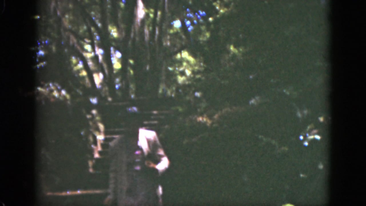 In 1951 Florida 8mm footage, a woman in a light pink suit appears on stone steps beneath dense trees.