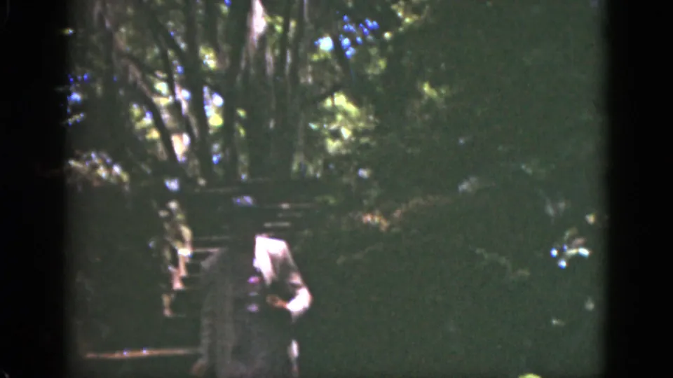 In 1951 Florida 8mm footage, a woman in a light pink suit appears on stone steps beneath dense trees.