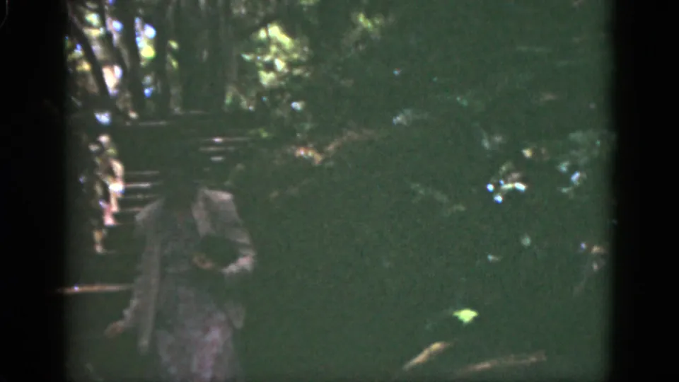 The woman continues down the stone steps in a shaded Florida wooded setting, partially obscured by 8mm exposure and foliage.