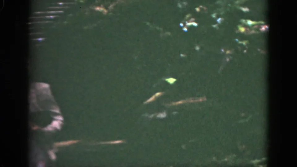 Near the end of the clip, the woman is partly cropped at the lower left while the wooded steps and dark foliage fill the frame.