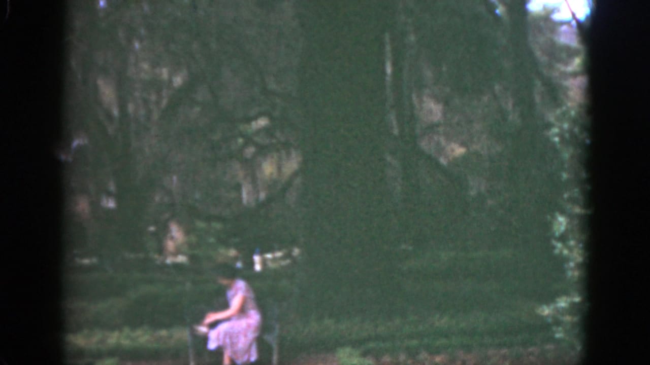 1951 Florida 8mm frame showing a woman in a light dress seated on a bench among dense trees and greenery.