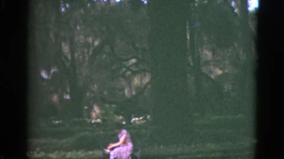 1951 Florida home-movie frame of a woman seated on a garden bench, partly softened by shade and dense foliage.