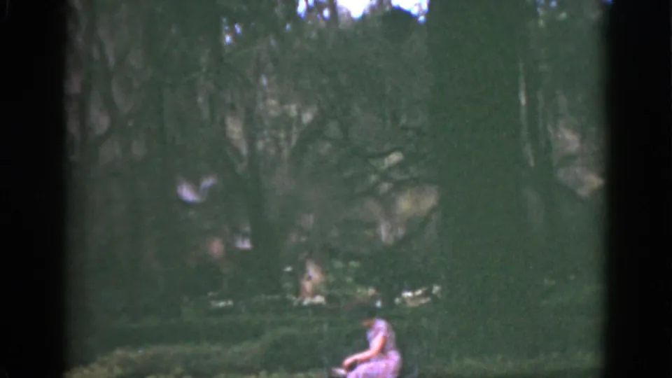 1951 Florida 8mm frame with a seated woman near the edge of a shaded garden, surrounded by trees and shrubs.