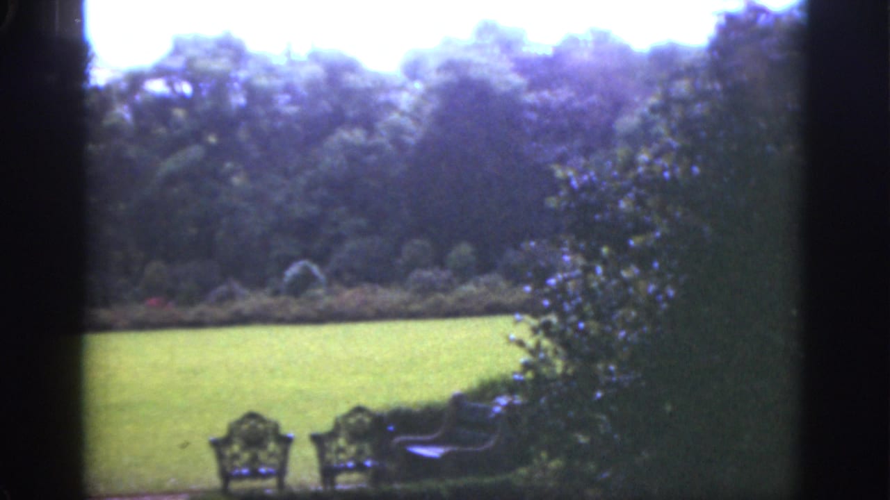 1951 Florida home-movie frame showing a green lawn, tree line, shrubs, and metal garden chairs seen through a dark edge.