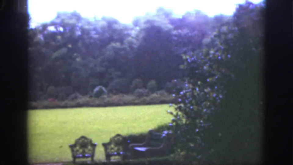 1951 Florida home-movie frame showing a green lawn, tree line, shrubs, and metal garden chairs seen through a dark edge.