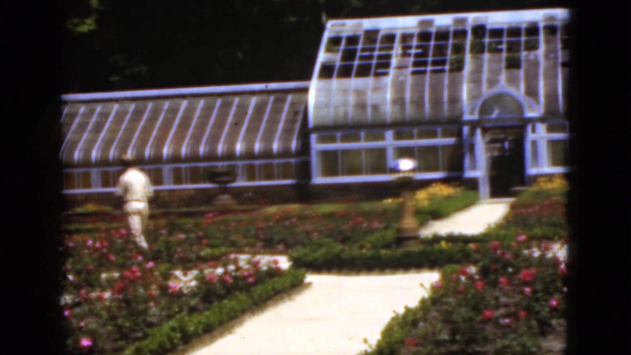 1951 Florida 8mm frame showing a formal garden path, blooming beds, a glass greenhouse, and a distant visitor in light clothing.