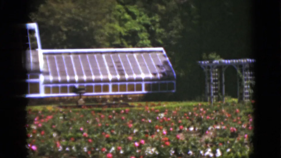 1951 Florida 8mm frame showing a side greenhouse, rows of colorful flowers, a garden trellis, and trees beyond.