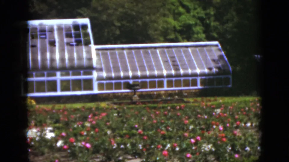 1951 Florida garden frame with a glass greenhouse, flowering beds in the foreground, and leafy trees behind the structure.