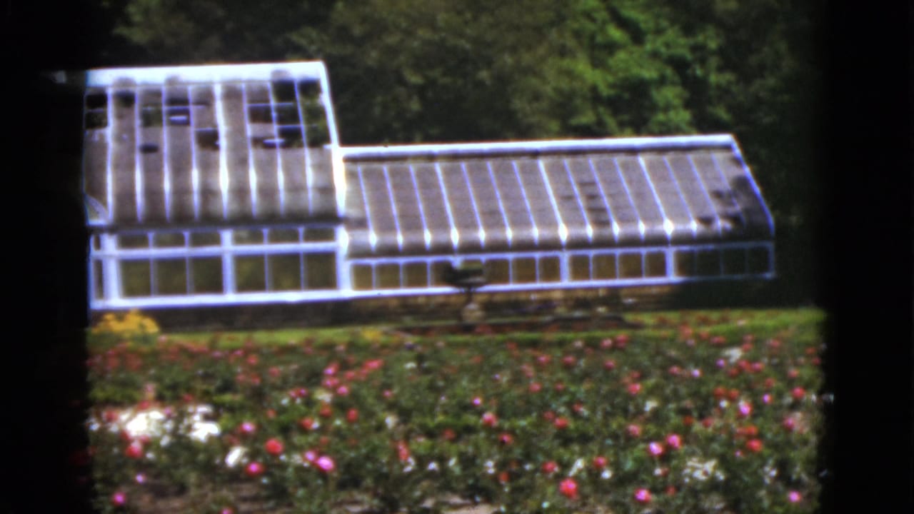 White greenhouse behind blooming rose beds in a landscaped garden.