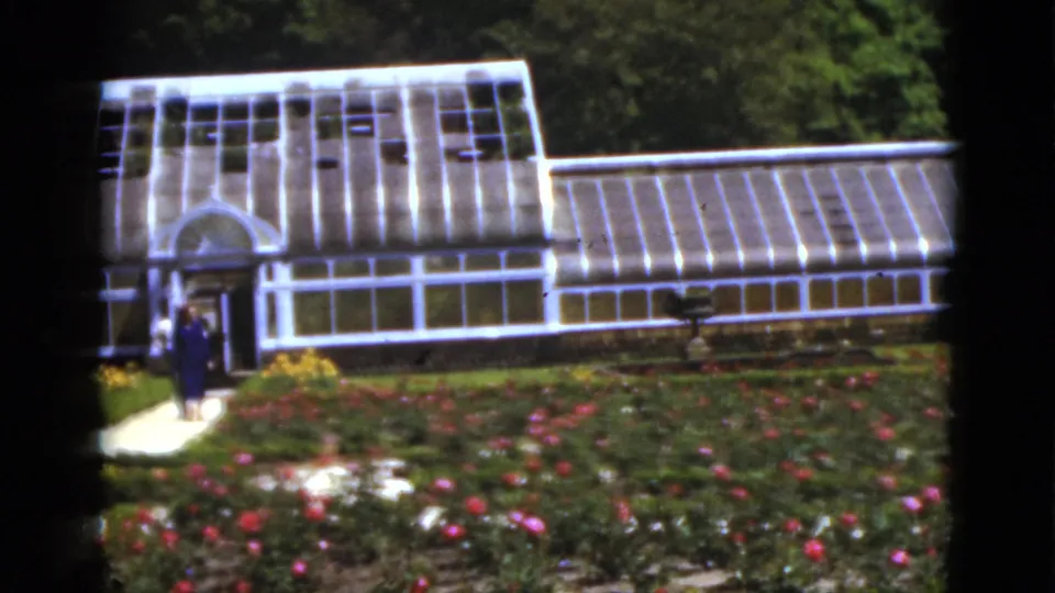 Two adult visitors appear at the entrance of a white greenhouse in the 1951 Florida garden footage.
