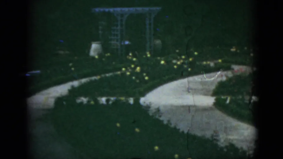 A shaded 1951 Florida garden view shows a winding path, green lawn, yellow flowers, and a metal trellis in the distance.