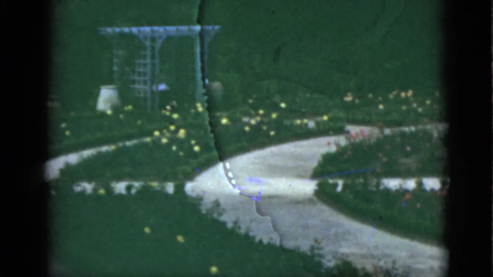 1951 Florida 8mm frame showing a curving garden path, green lawn, flower beds, and a simple metal arbor.
