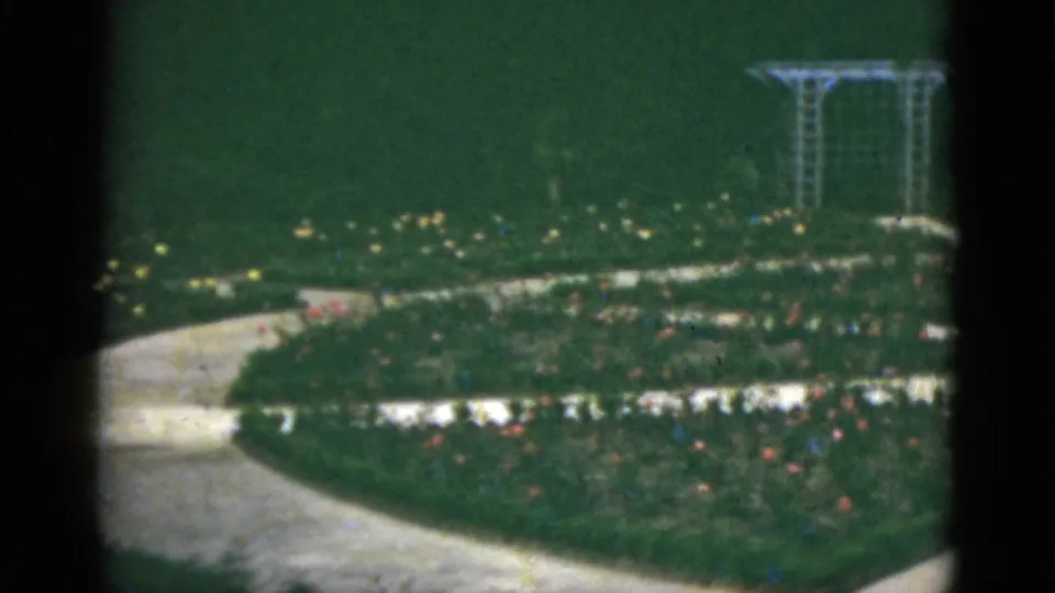 1951 Florida home-movie frame showing the path edge, dense planting, small flowers, and a metal garden arbor.