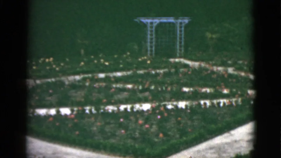 1951 Florida 8mm view of a landscaped garden with flower beds, a pale path edge, lawn, and metal arbor.