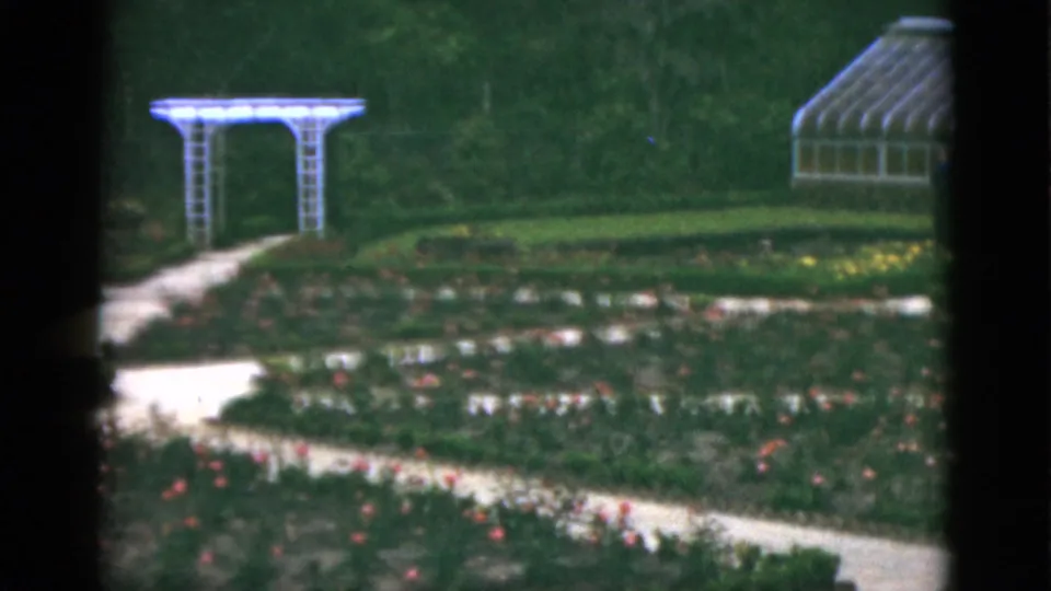 1951 Florida 8mm frame with formal beds, a pale garden path, white arbor, and part of a curved glass greenhouse.