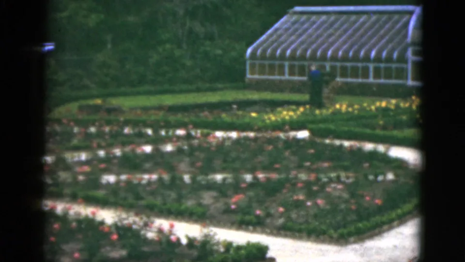 1951 Florida estate garden frame showing a glass-roof greenhouse, flower beds, paths, and a distant person in dark clothing.