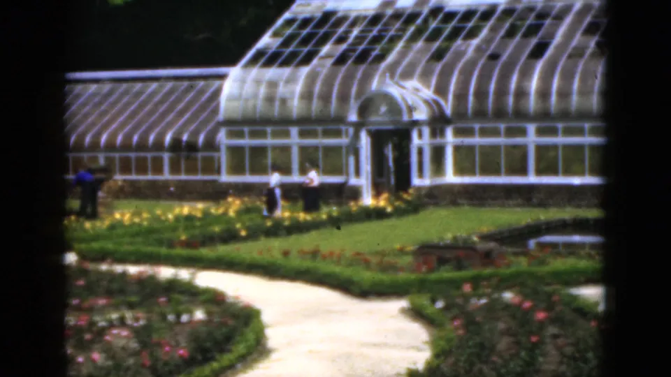 1951 Florida 8mm still of a greenhouse facade, visitors near yellow flower beds, a pale path, and manicured lawn.