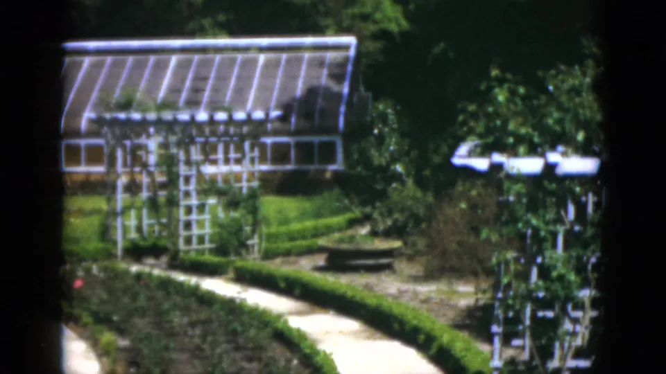 1951 Florida garden frame with a greenhouse partly behind trelliswork, a curving path, planted beds, trees, and a small stone feature.