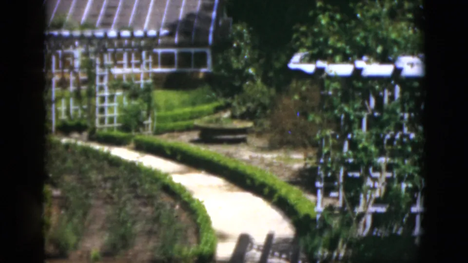 1951 Florida 8mm frame showing a curved garden walkway, clipped hedges, trellis structures, planting beds, and part of a greenhouse.