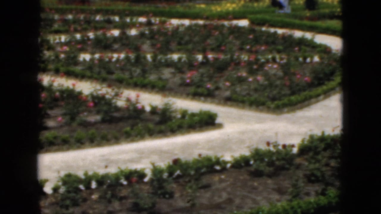 Formal flower beds and pale paths appear behind a dark central vertical bar.