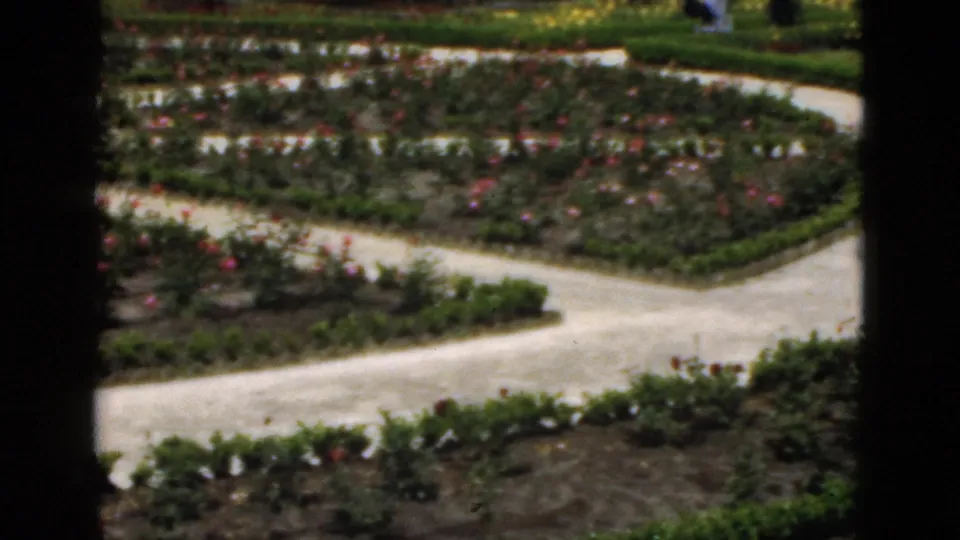 1951 Florida garden view with geometric rose beds, pale gravel paths, low green borders, and a dark foreground divider.