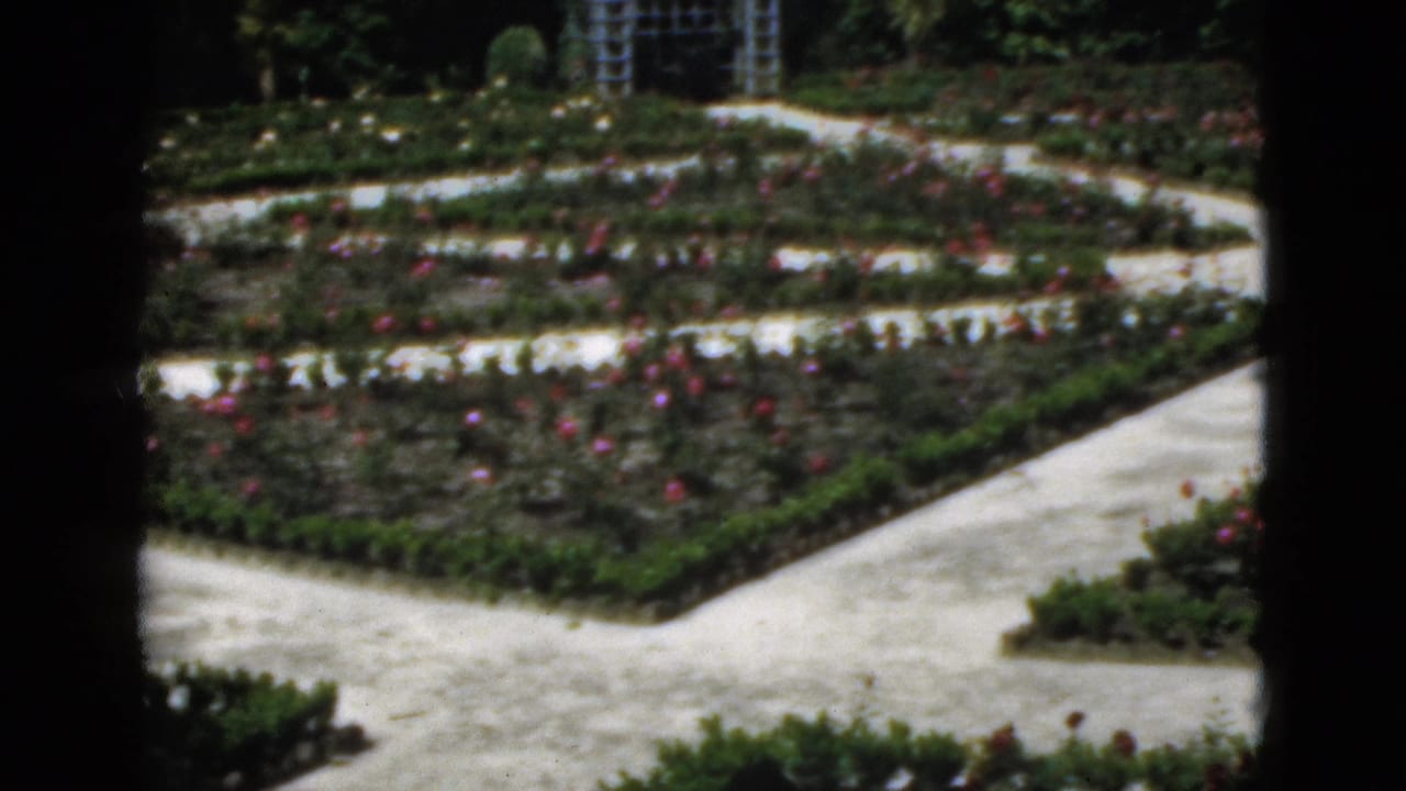 Rose beds and curving pale paths seen through dark 8mm frame edges.