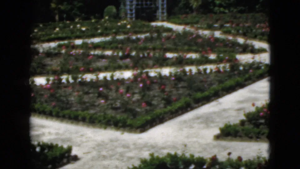 1951 Florida garden view with pale paths curving around rose beds, bordered by greenery and framed by dark 8mm gate edges.