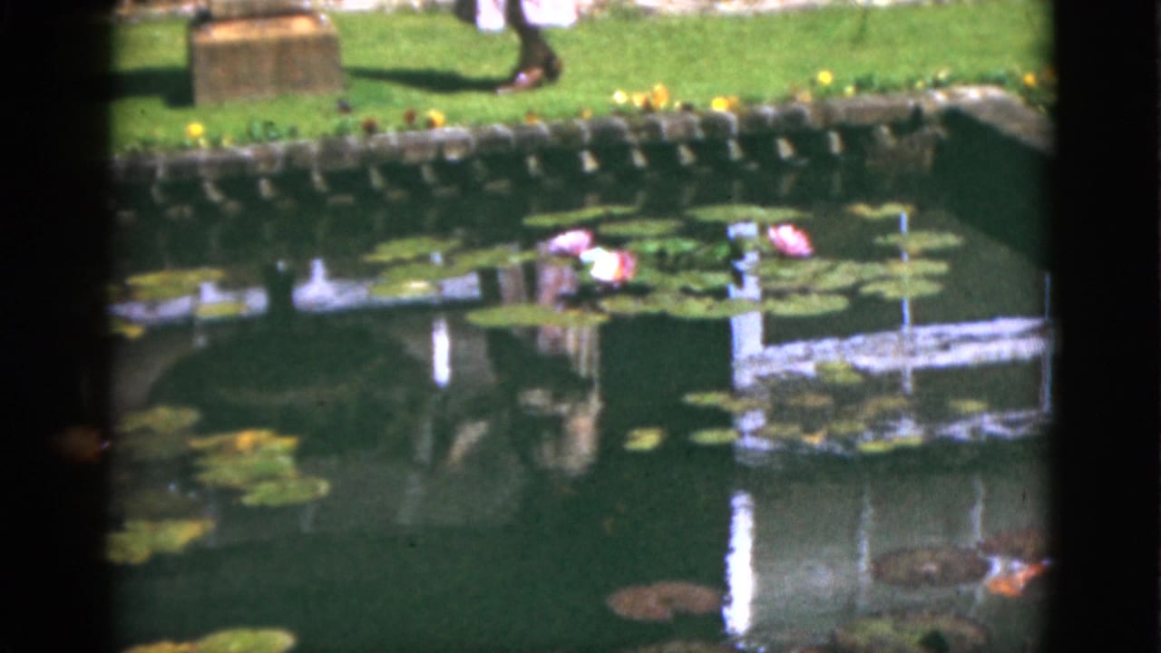1951 Florida 8mm frame of a sunlit garden pond with lily pads, pink water lilies, stone edging, lawn, and a partly seen passerby.