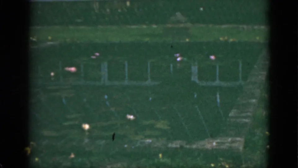1951 Florida 8mm frame showing a shaded garden pond surface with faint building reflections, scattered lily pads, and small flowers.