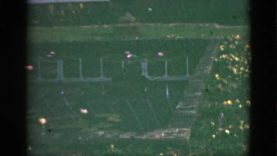 1951 Florida 8mm frame showing the garden pond near the end of the shot, with reflections, lily pads, flowers, and bright edge foliage.