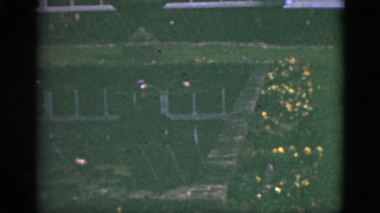 1951 Florida home-movie frame showing a green garden area with house windows, a path, yellow flowers, and visible 8mm frame edges.