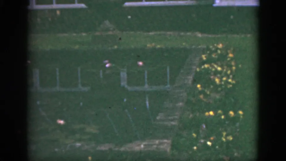 1951 Florida home-movie frame showing a green garden area with house windows, a path, yellow flowers, and visible 8mm frame edges.