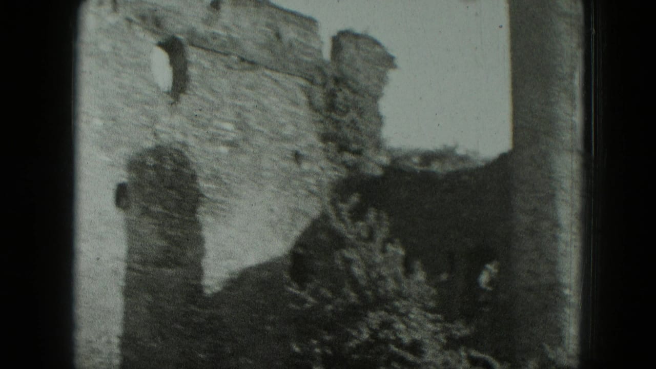 Weathered stone castle ruin with arched openings and vegetation in front.