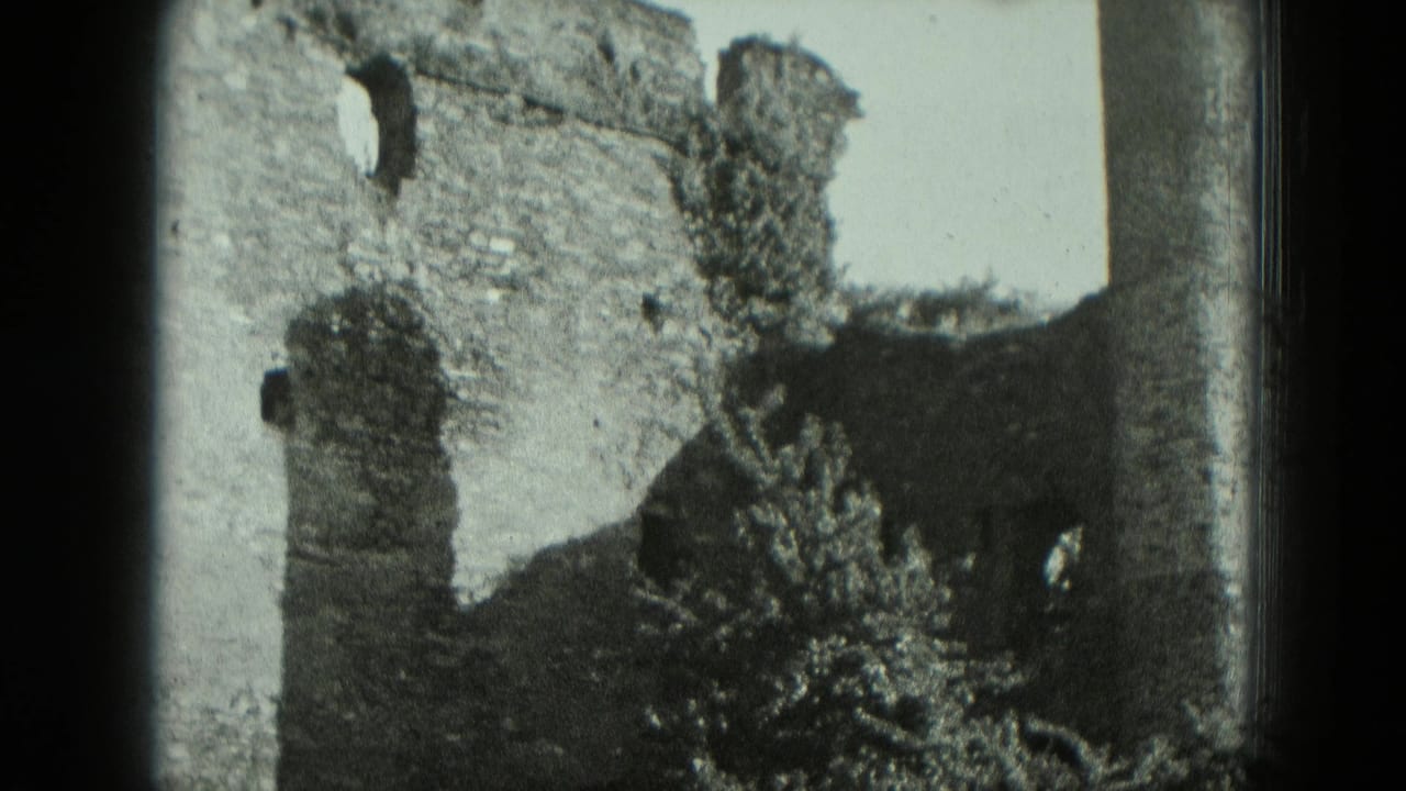 Castle ruin wall with broken upper edge, arched opening, and shrubs below.