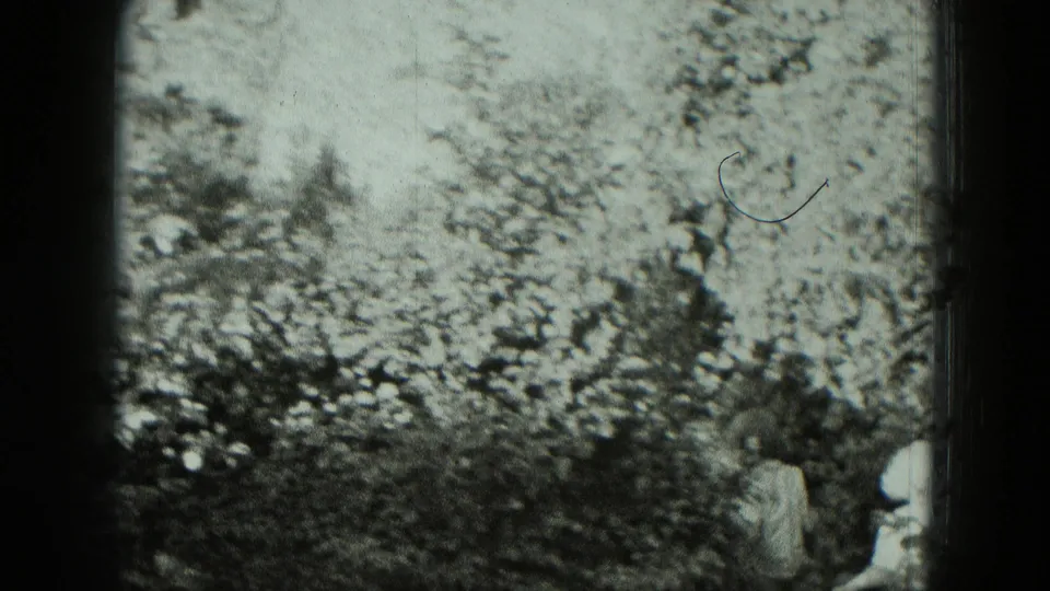 1951 Germany 8mm frame showing foliage and uneven stone ruin masonry, with pale shapes at the lower edge partly obscured by the frame.