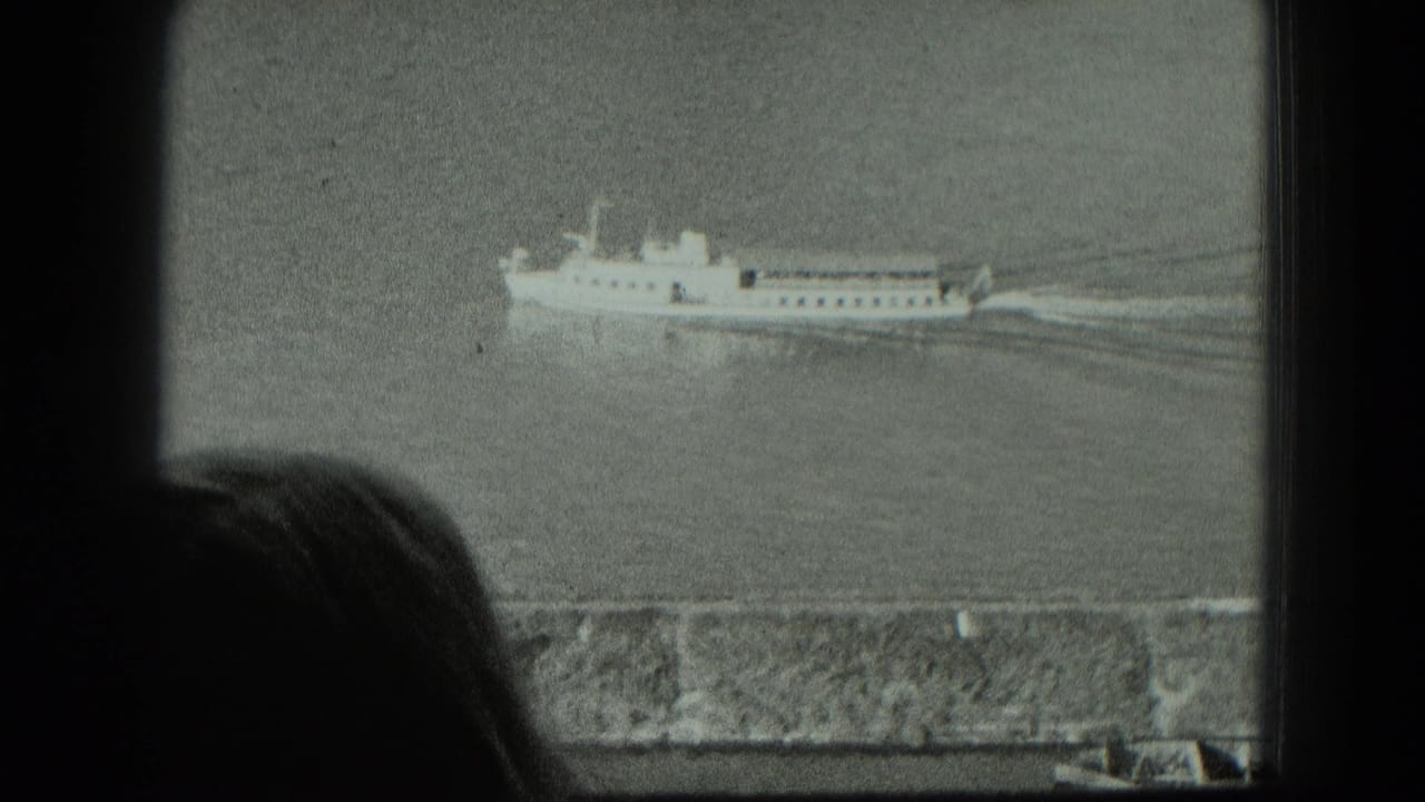 Passenger vessel crossing calm water beyond a stone wall and silhouetted viewer.