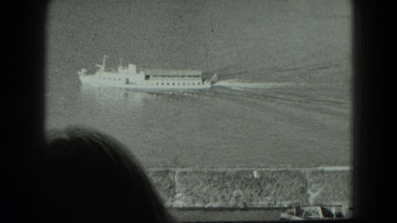 Passenger vessel leaving a wake, seen through a dark-framed vantage point.