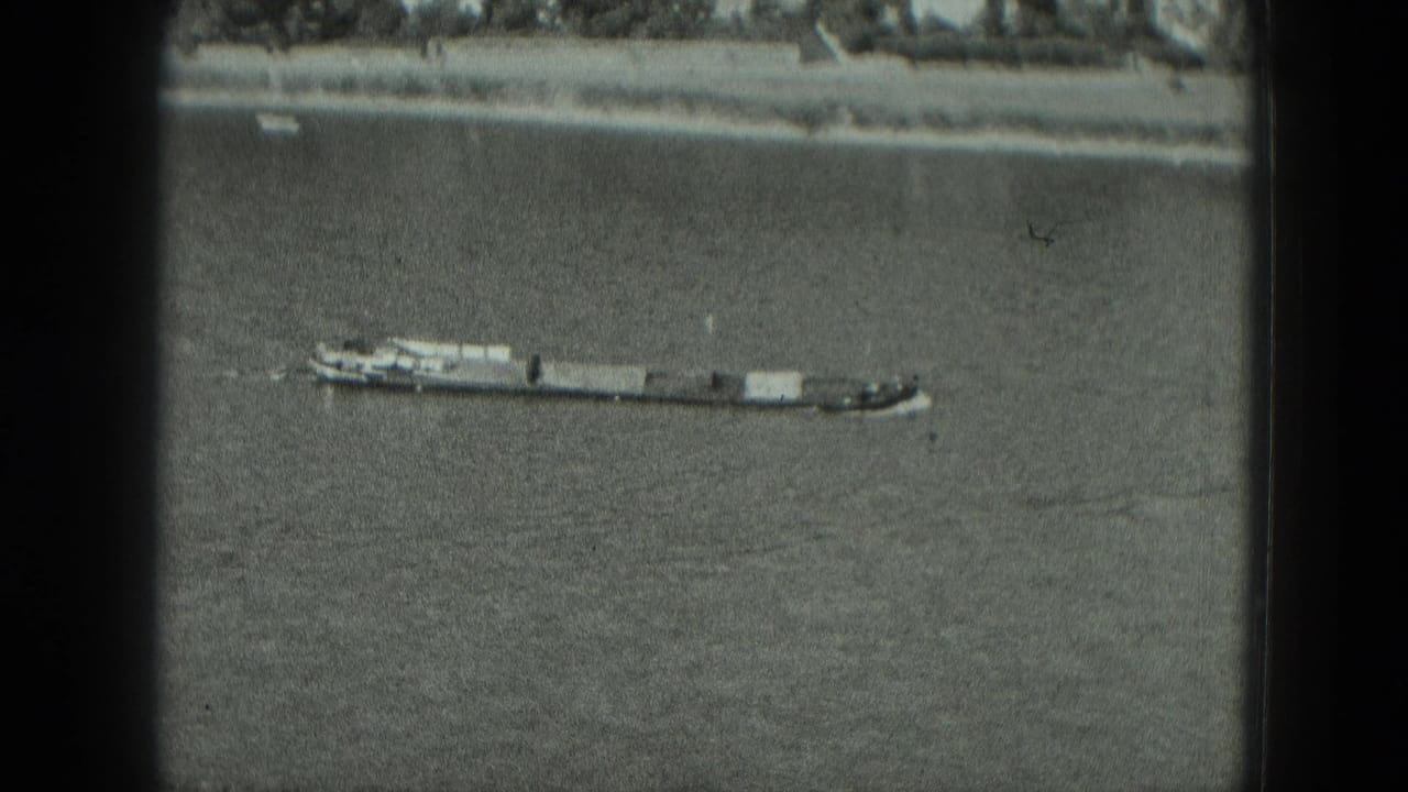 Tugboat pushing barges across a wide river with shoreline in the distance.